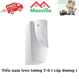 TIỂU NAM TREO TƯỜNG VIGLACERA TT-6 (CẤP DƯƠNG) 