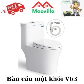 BÀN CẦU MỘT KHỐI VIGLACERA V63