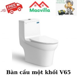 BÀN CẦU MỘT KHỐI VIGLACERA V65