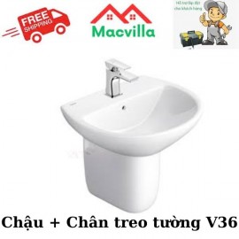 CHẬU + CHÂN TREO TƯỜNG VIGLACERA V36