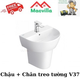 CHẬU + CHÂN TREO TƯỜNG VIGLACERA V37