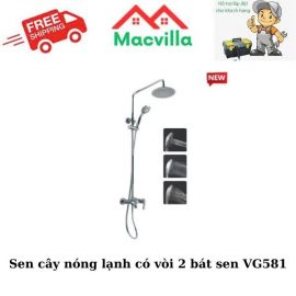 SEN CÂY NÓNG LẠNH CÓ 2 VÒI BÁT SEN VIGLACERA VG581