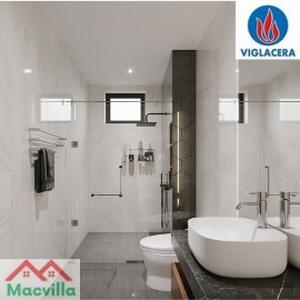 Thiết Bị Vệ Sinh Viglacera - Sự Lựa Chọn Hàng Đầu Tại Long AN