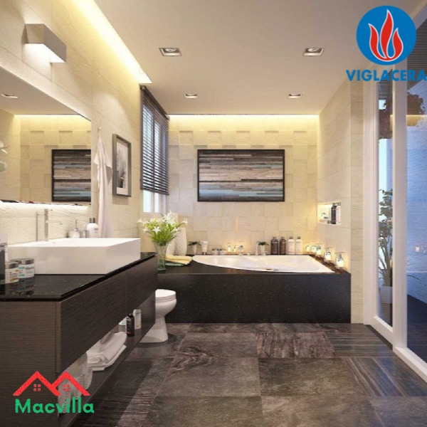 Mua Thiết Bị Vệ Sinh Viglacera Tại Trà Vinh